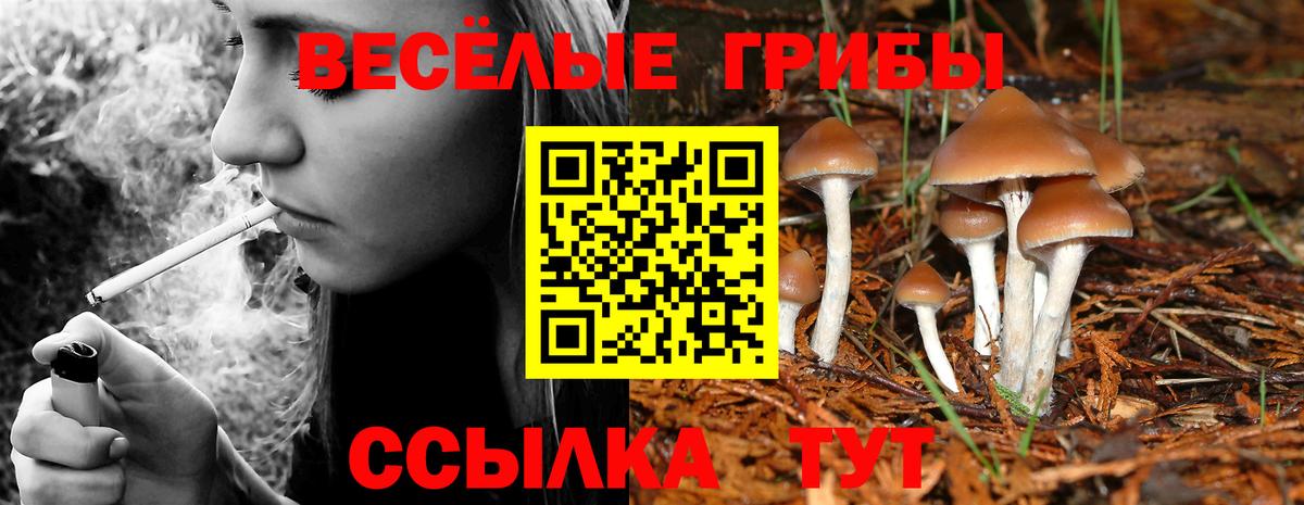 наркошоп  Галлюциногенные грибы Magic Shrooms  Вход с VPN  Орск 